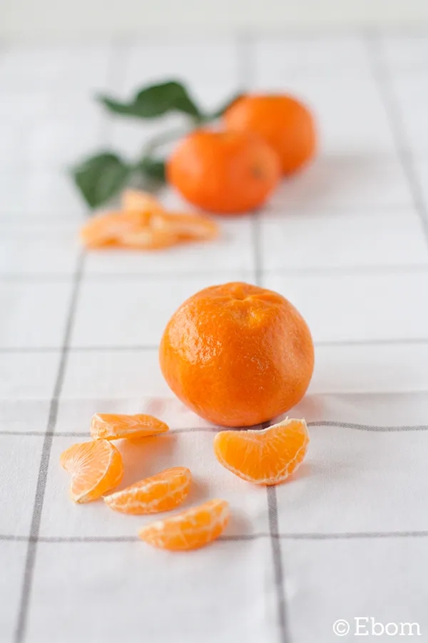 9572f-budin_mandarinas_7