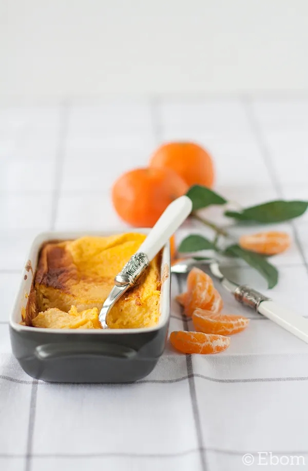 f5e1c-budin_mandarinas_5
